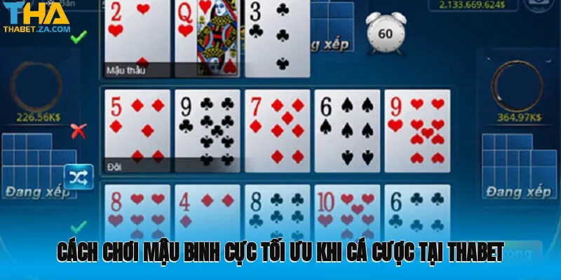 Cách chơi mậu binh cực tối ưu khi cá cược tại Thabet